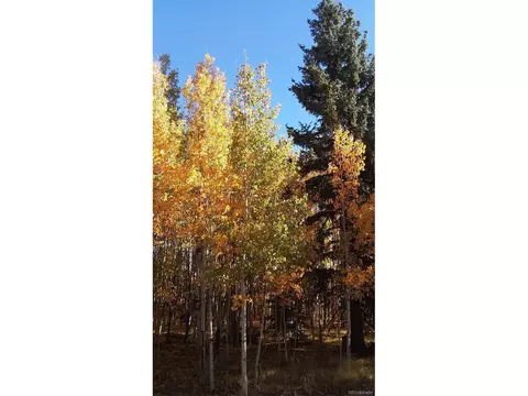 1213 Windmill Dr, Hartsel, CO 80449 photo 38