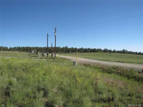 1213 Windmill Dr, Hartsel, CO 80449 photo 9