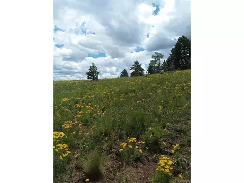 1213 Windmill Dr, Hartsel, CO 80449 photo 29