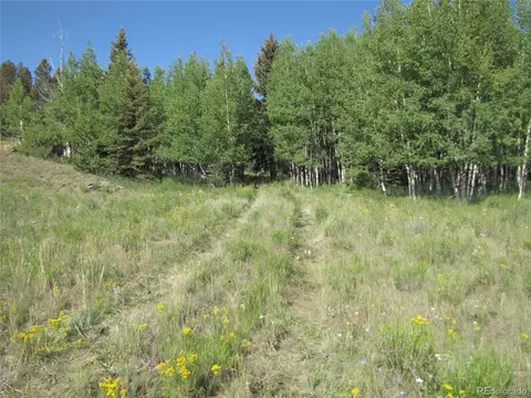 1213 Windmill Dr, Hartsel, CO 80449 photo 2