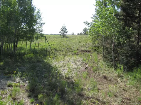 1213 Windmill Dr, Hartsel, CO 80449 photo 5