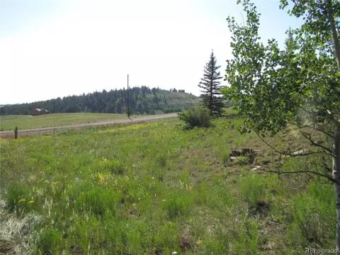 1213 Windmill Dr, Hartsel, CO 80449 photo 22