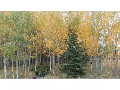 1213 Windmill Dr, Hartsel, CO 80449 photo 33
