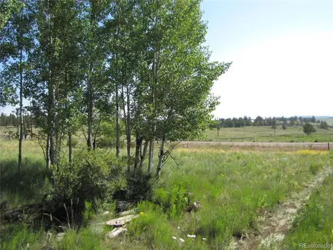 1213 Windmill Dr, Hartsel, CO 80449 photo 23