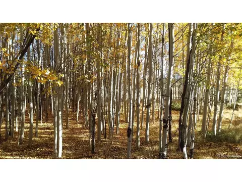 1213 Windmill Dr, Hartsel, CO 80449 photo 39