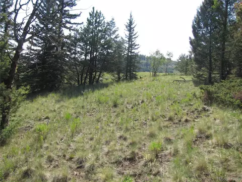 1213 Windmill Dr, Hartsel, CO 80449 photo 13