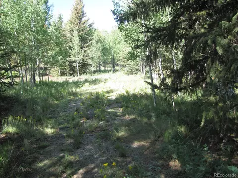 1213 Windmill Dr, Hartsel, CO 80449 photo 21