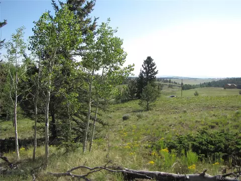 1213 Windmill Dr, Hartsel, CO 80449 photo 16