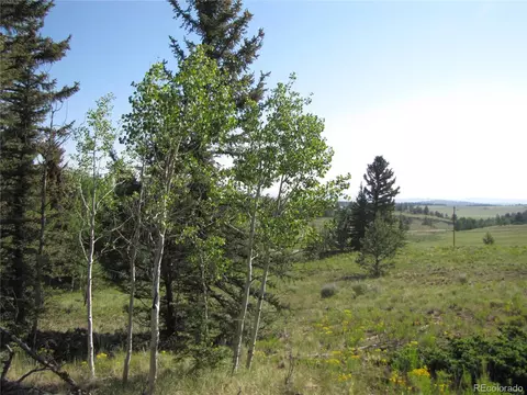 1213 Windmill Dr, Hartsel, CO 80449 photo 15