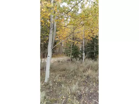 1213 Windmill Dr, Hartsel, CO 80449 photo 34
