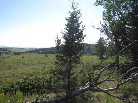 1213 Windmill Dr, Hartsel, CO 80449 photo 14