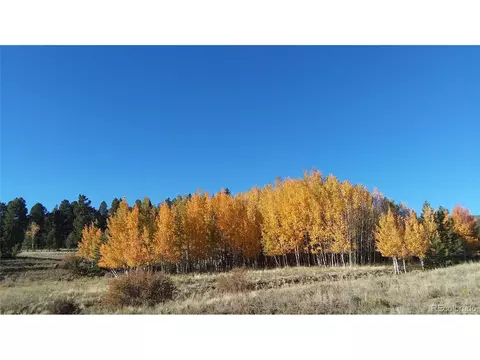 1213 Windmill Dr, Hartsel, CO 80449 photo 40
