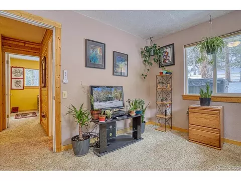 259 Cedar Dr, Lyons, CO 80540 photo 19