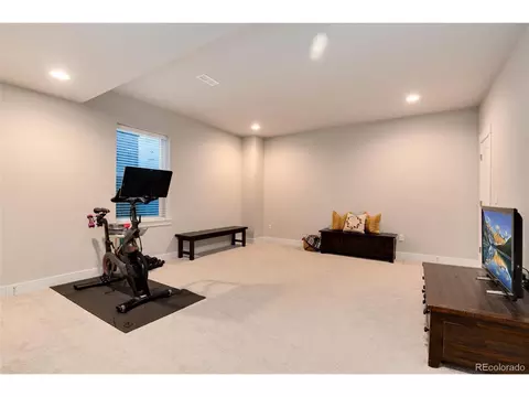 9857 E 61st Ave, Denver, CO 80238 photo 30