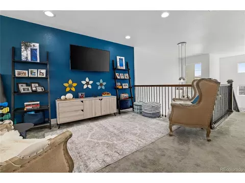 4147 E 98th Pl, Thornton, CO 80229 photo 28