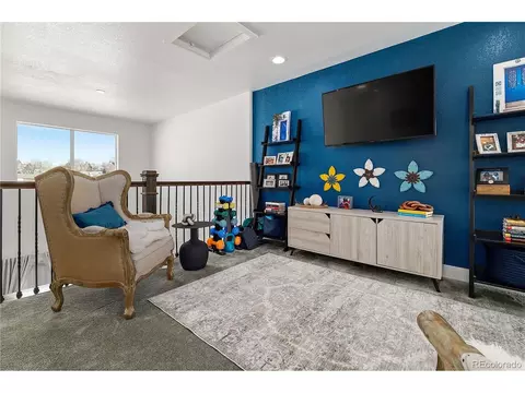 4147 E 98th Pl, Thornton, CO 80229 photo 26