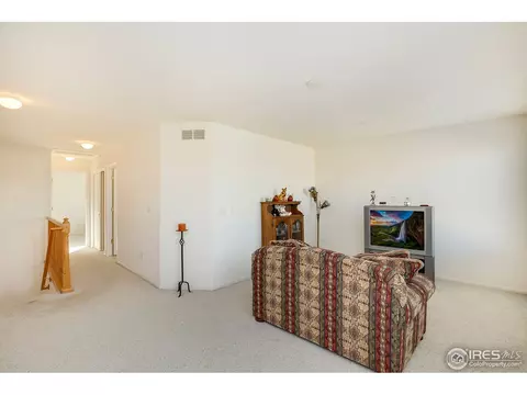 1713 E 100th Pl, Thornton, CO 80229 photo 21