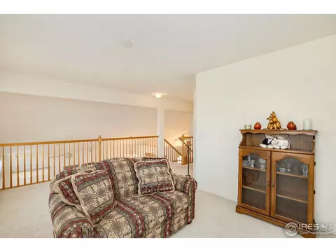 1713 E 100th Pl, Thornton, CO 80229 photo 23
