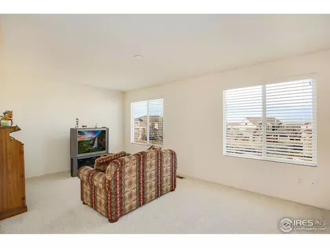 1713 E 100th Pl, Thornton, CO 80229 photo 22