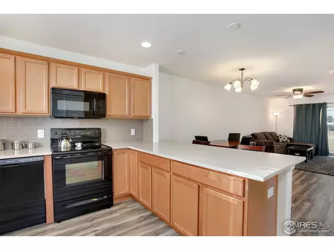 4793 E 98th Pl, Thornton, CO 80229 photo 3