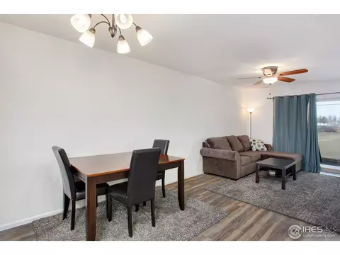 4793 E 98th Pl, Thornton, CO 80229 photo 10