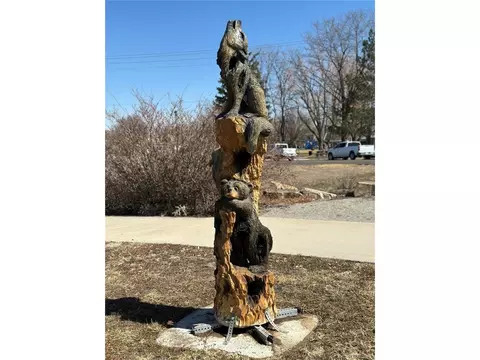 7326 Green River Ave, Frederick, CO 80530 photo 16