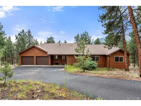 84 Marys Ln, Bailey, CO 80421