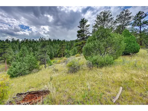 14515 Reserve Rd, Pine, CO 80470 photo 6