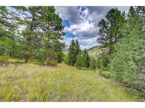 14515 Reserve Rd, Pine, CO 80470 photo 7