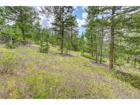 14515 Reserve Rd, Pine, CO 80470 photo 9