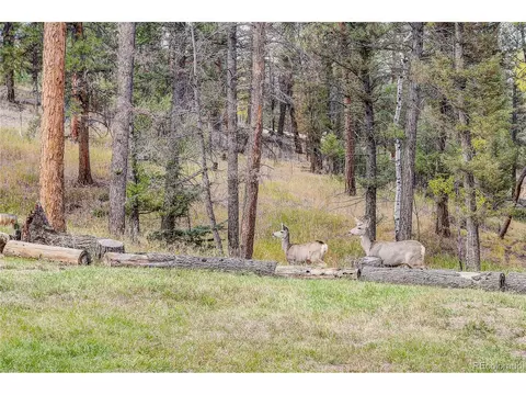29225 S Sunset Trl, Conifer, CO 80433 photo 10