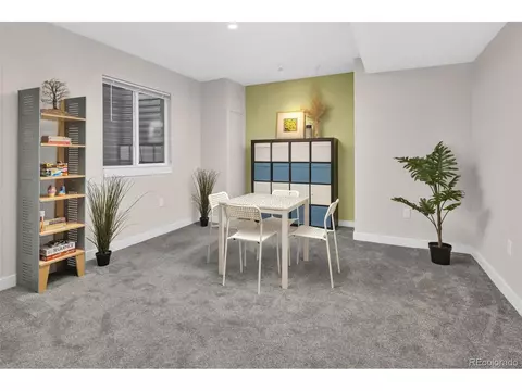 8755 E 49th Pl, Denver, CO 80238 photo 28