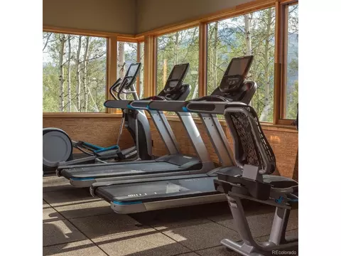 42 E Benjamin Pt, Silverthorne, CO 80498 photo 46