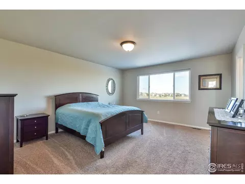 2177 Grain Bin Ct, Windsor, CO 80550 photo 19