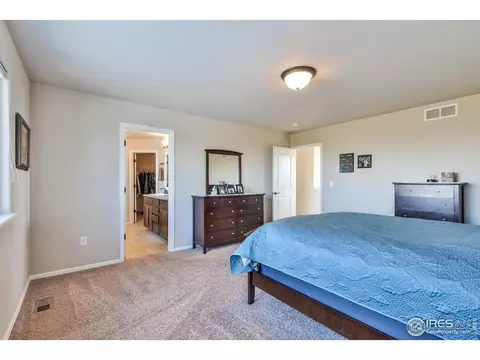 2177 Grain Bin Ct, Windsor, CO 80550 photo 20