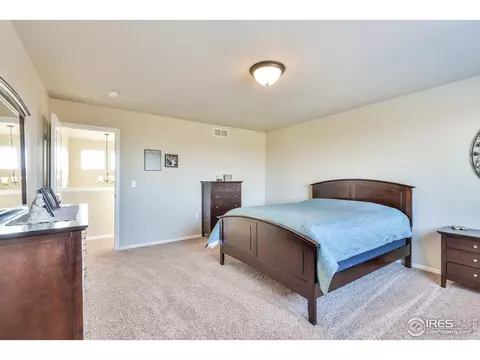 2177 Grain Bin Ct, Windsor, CO 80550 photo 21