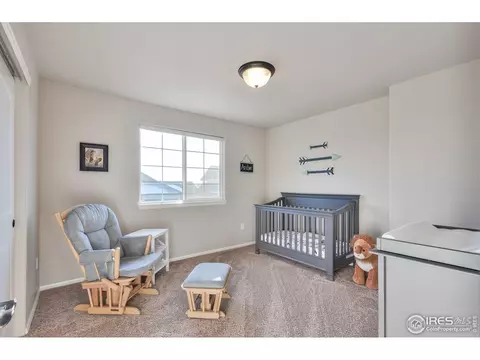 2177 Grain Bin Ct, Windsor, CO 80550 photo 25