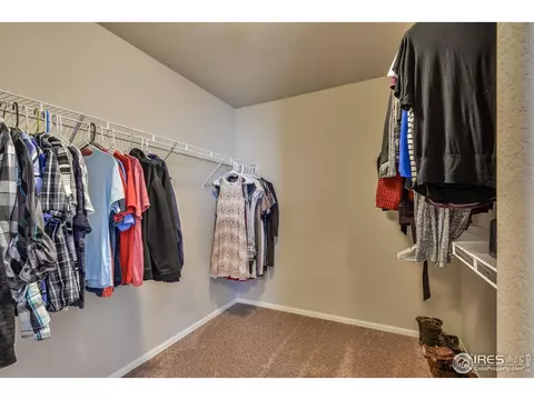 2177 Grain Bin Ct, Windsor, CO 80550 photo 24
