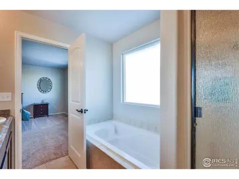 2177 Grain Bin Ct, Windsor, CO 80550 photo 23
