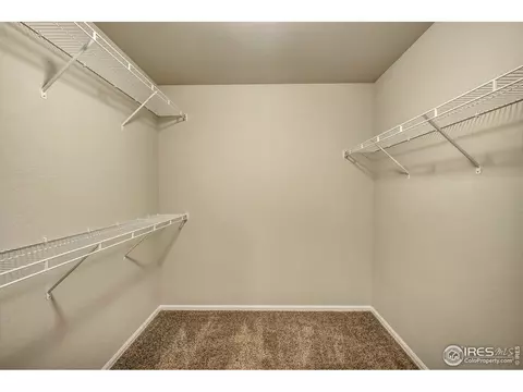 1487 First Light Dr, Windsor, CO 80550 photo 18