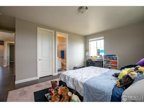 5822 Riverbluff Dr, Timnath, CO 80547 photo 24