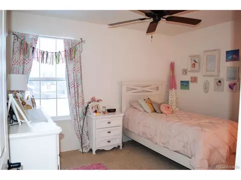 856 Mapleton Ct, Castle Rock, CO 80104 photo 24