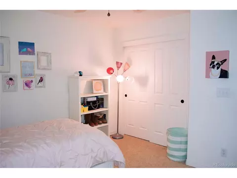 856 Mapleton Ct, Castle Rock, CO 80104 photo 25