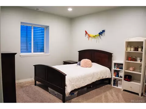 856 Mapleton Ct, Castle Rock, CO 80104 photo 29