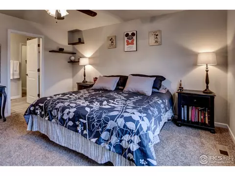 413 Ptarmigan St, Severance, CO 80550 photo 20