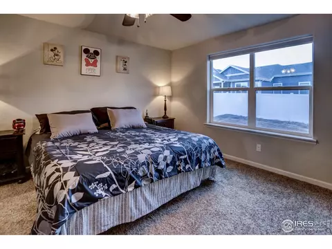 413 Ptarmigan St, Severance, CO 80550 photo 19