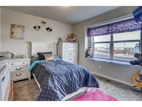 413 Ptarmigan St, Severance, CO 80550 photo 7