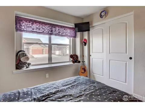 413 Ptarmigan St, Severance, CO 80550 photo 8