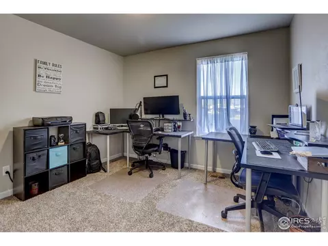 413 Ptarmigan St, Severance, CO 80550 photo 10