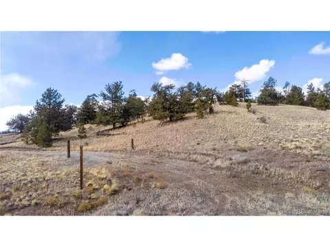 2972 Fitzsimmons Rd, Hartsel, CO 80449